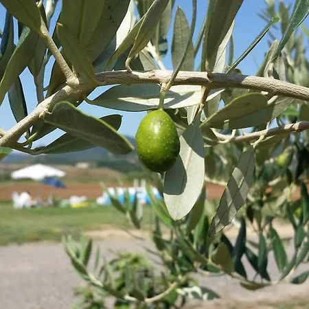 La Nocciolina Vakantieboerderij Venturina Terme