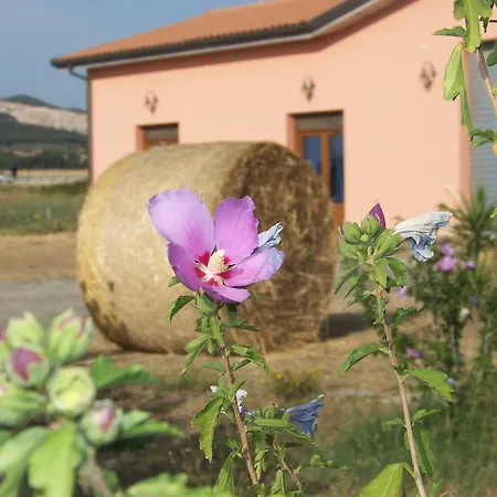 Vakantieboerderij La Nocciolina *