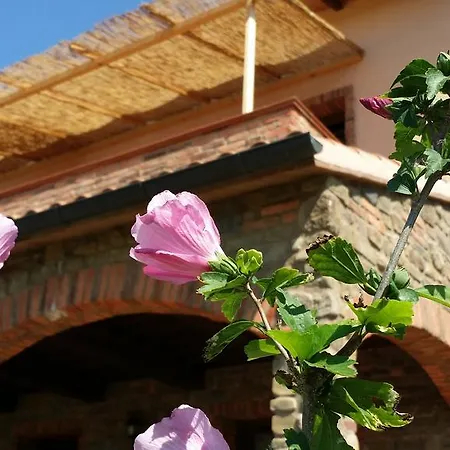 La Nocciolina 벤투리나