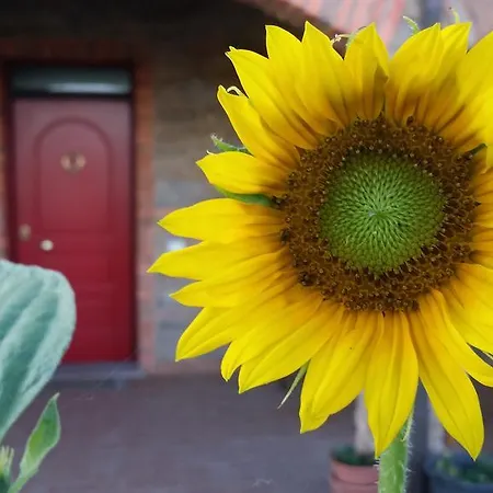 La Nocciolina 팜스테이