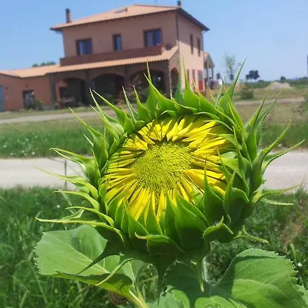 Farm stay La Nocciolina *