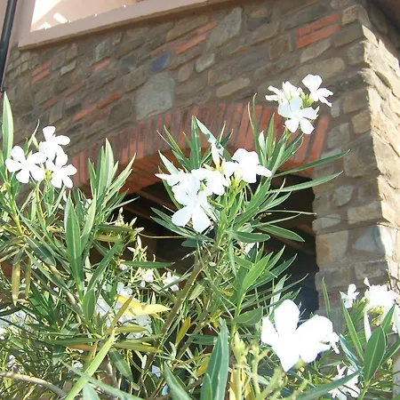 팜스테이 La Nocciolina 벤투리나