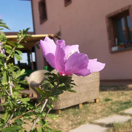 La Nocciolina Farm stay Venturina Terme