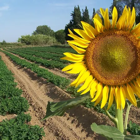 Farm stay La Nocciolina *